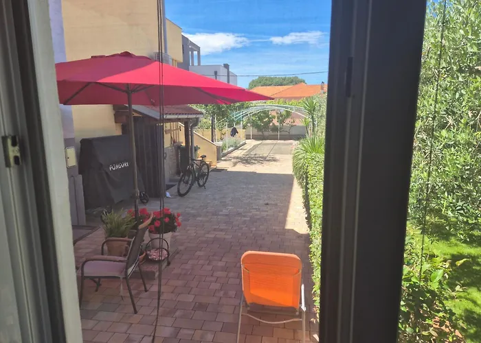 Odette * Ζαντάρ